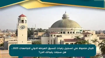 إقبال ملحوظ على تسجيل رغبات تنسيق المرحلة الأولى للجامعات 2025.. هل سجلت رغباتك الآن؟